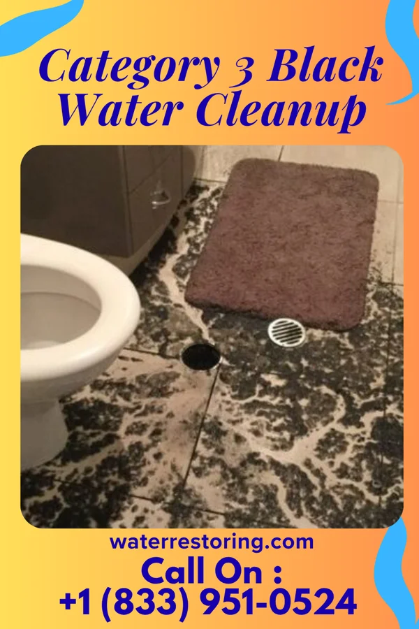 Category 3 Black Water Cleanup in Greene, IA