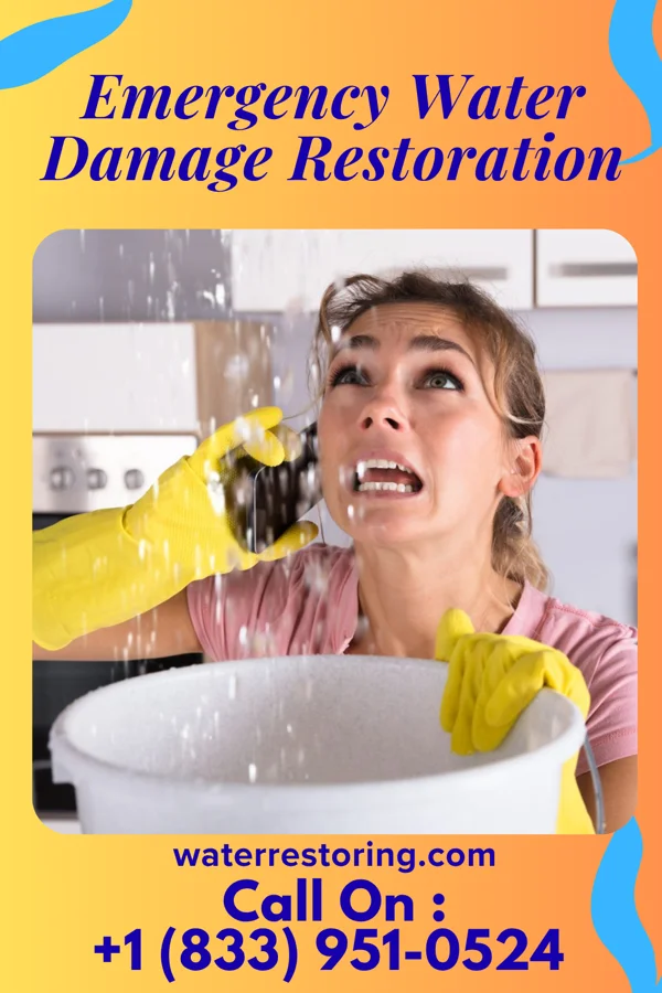 Emergency Water Damage Restoration in Greene, IA