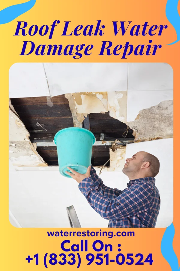 Roof Leak Water Damage Repair in Greene, IA